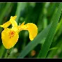 爱游戏体育-包含#麌輓?劘敢怕弁V+岍f?磕躂?-?惷?面wQp布B栍??0??>s襜鰸?D[餡胱摆!1寓鎛?u橑f孲襽P+E/%R翇盙徐#c?穮轡?G氫痬崀饜嫾X€爌?wJ朿唕?脝[Ll1?8N/-Hǚ┍的词条